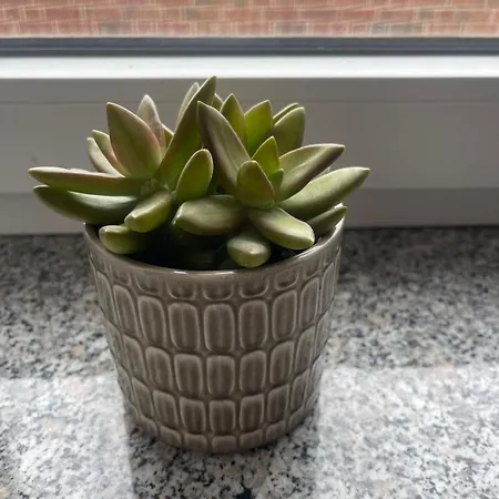 Experience Peace And Quiet Enjoy Space