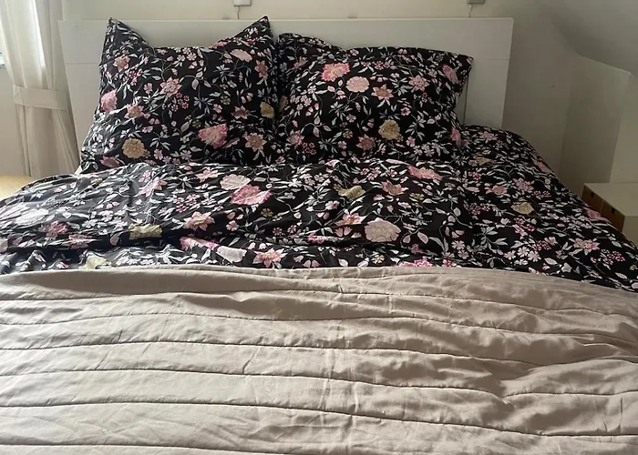 Experience Peace And Quiet Enjoy Space Munster (North Rhine-Westphalia)