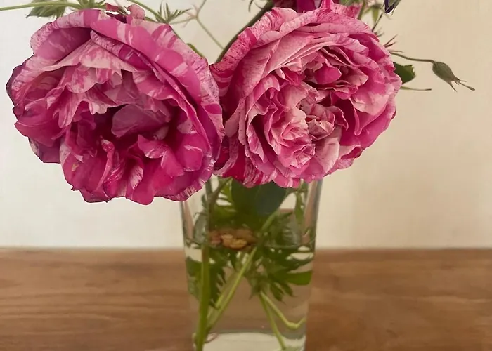 Experience Peace And Quiet Enjoy Space Munster (North Rhine-Westphalia)