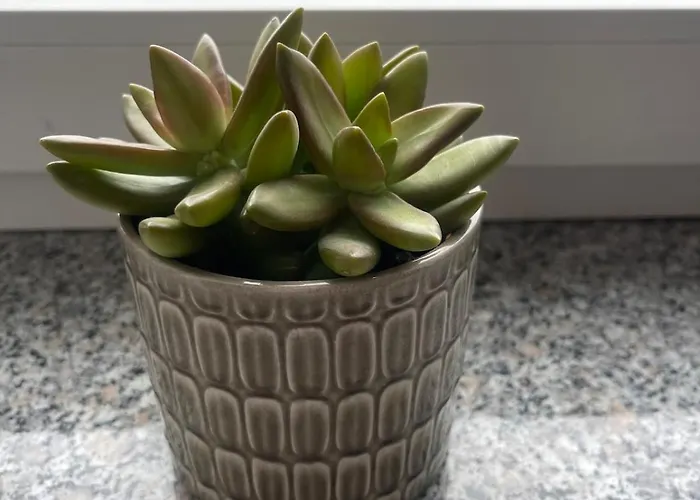 Experience Peace And Quiet Enjoy Space